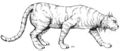 Critter Talis Cat.jpg