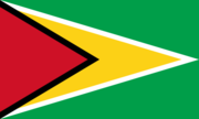 Flagge Guyana.png