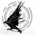 Hackbirds Logo.jpg