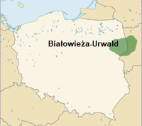 GeoPositionskarte Polen - Bialowieza-Urwald.png
